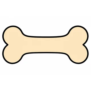 Picture of a bone