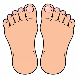 Picture of a feet