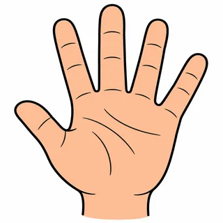 Picture of a hand