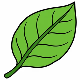 Picture of a leaf