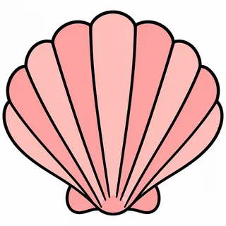 Picture of a shell