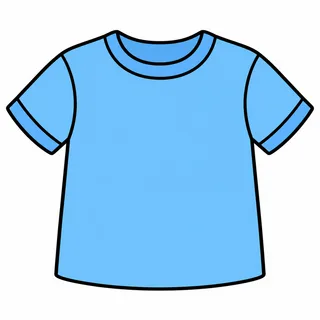 Picture of a shirt
