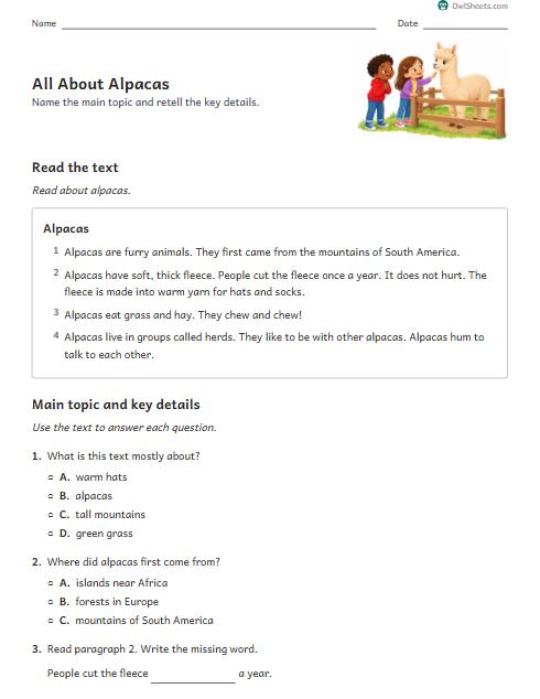 All About Alpacas worksheet preview