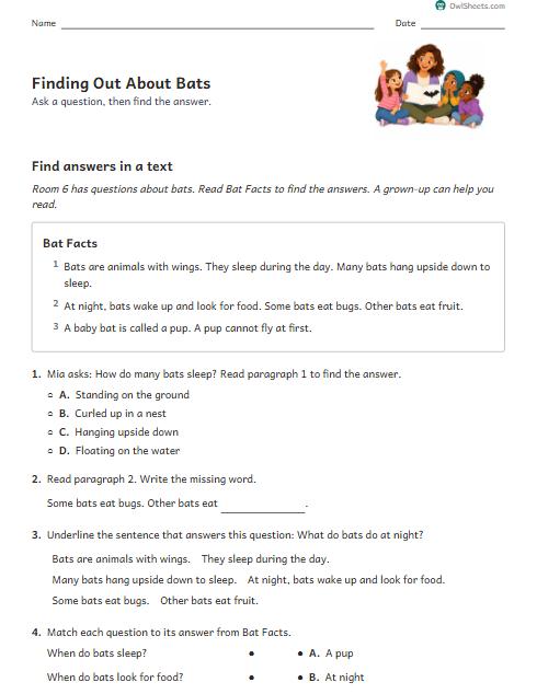 Finding Out About Bats worksheet preview