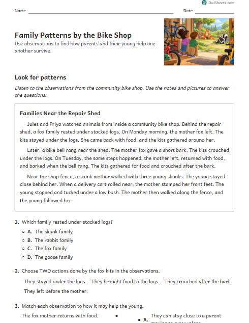 Family Patterns by the Bike Shop worksheet preview
