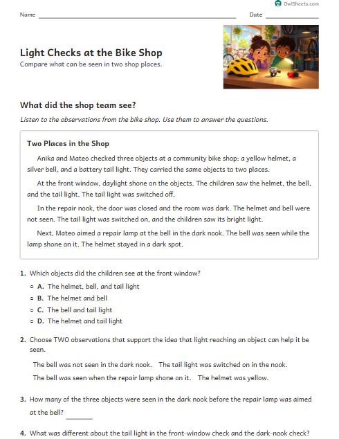 Light Checks at the Bike Shop worksheet preview