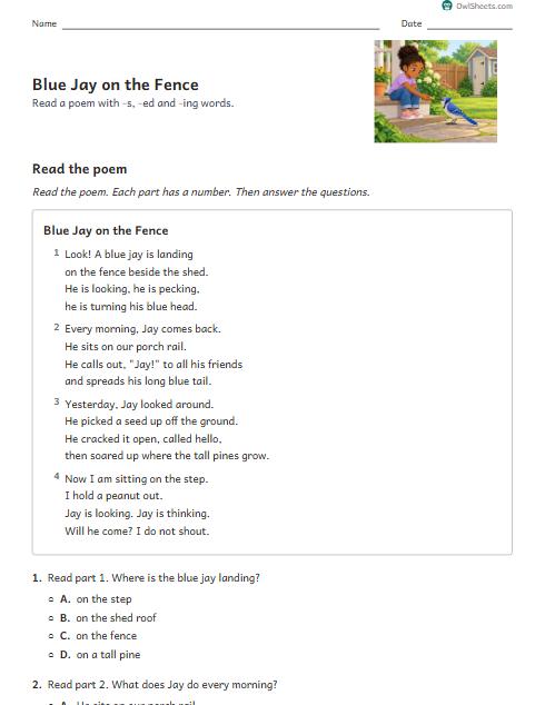 Blue Jay on the Fence worksheet preview