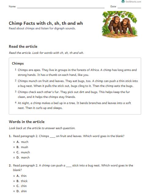 Chimp Facts with ch, sh, th and wh worksheet preview