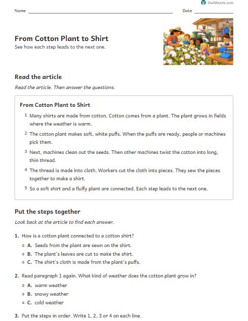 From Cotton Plant to Shirt worksheet preview