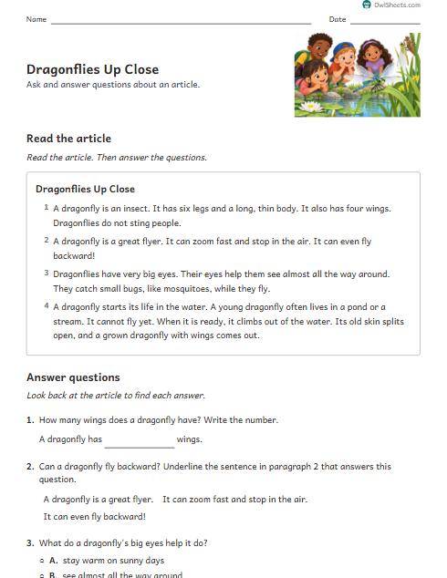 Dragonflies Up Close worksheet preview