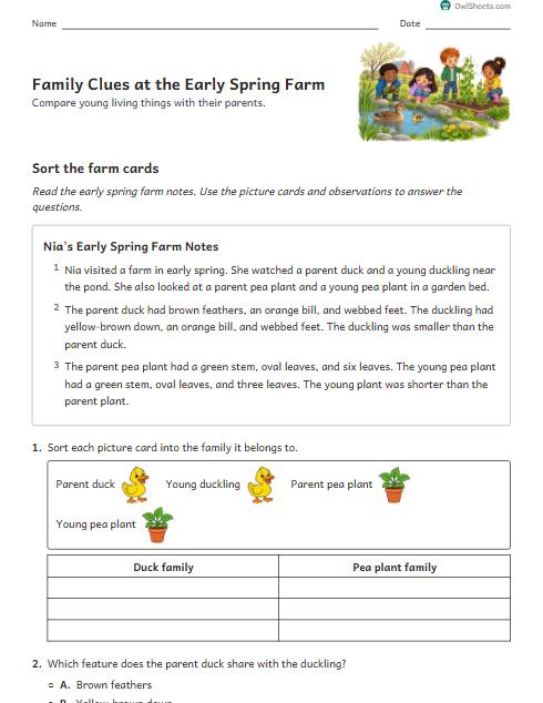 Family Clues at the Early Spring Farm worksheet preview