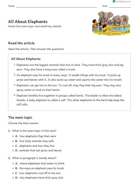 All About Elephants worksheet preview