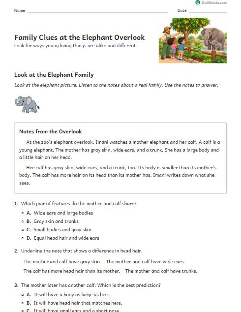 Family Clues at the Elephant Overlook worksheet preview
