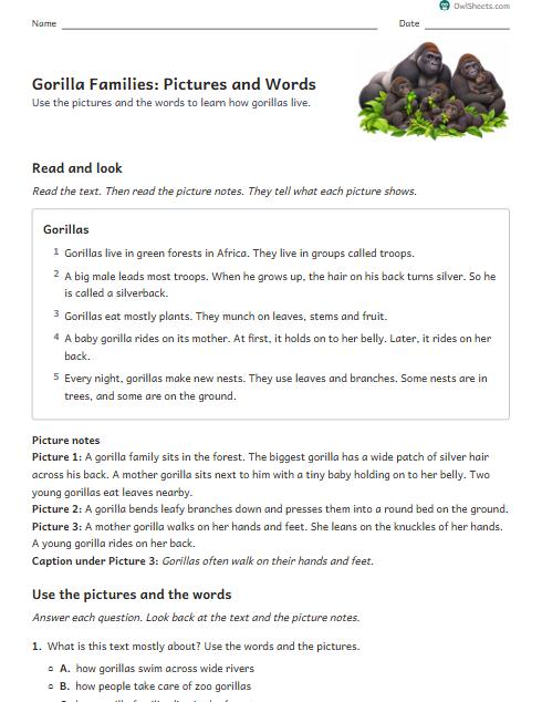 Gorilla Families: Pictures and Words worksheet preview
