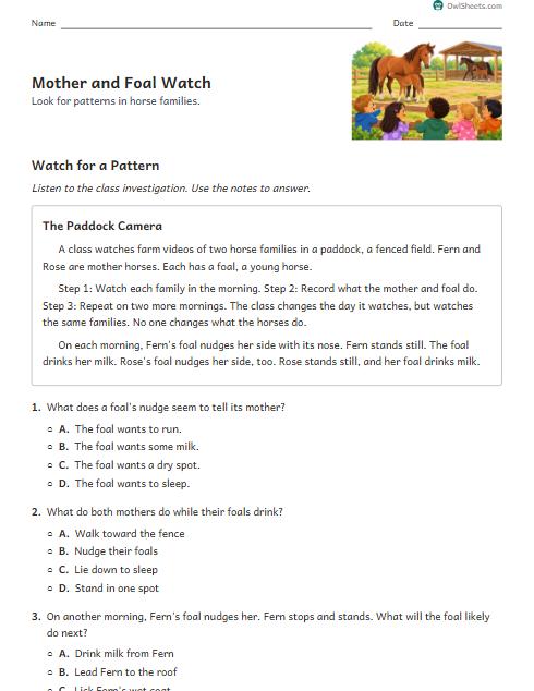 Mother and Foal Watch worksheet preview