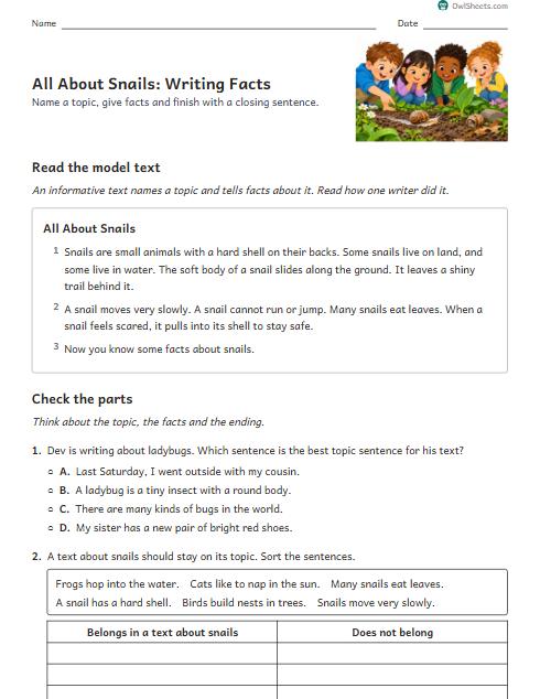 All About Snails: Writing Facts worksheet preview