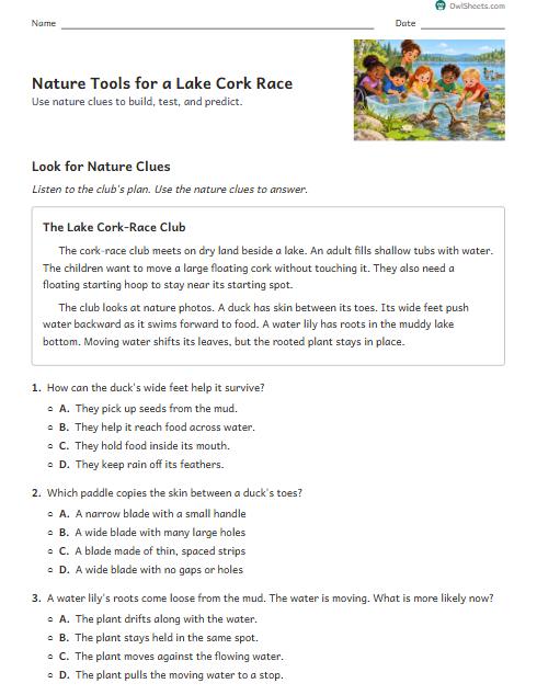 Nature Tools for a Lake Cork Race worksheet preview