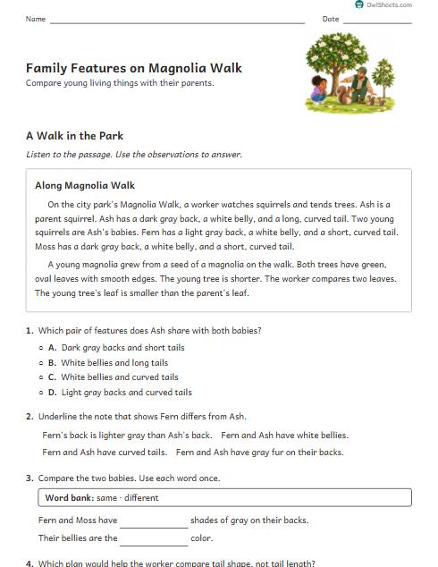 Family Features on Magnolia Walk worksheet preview