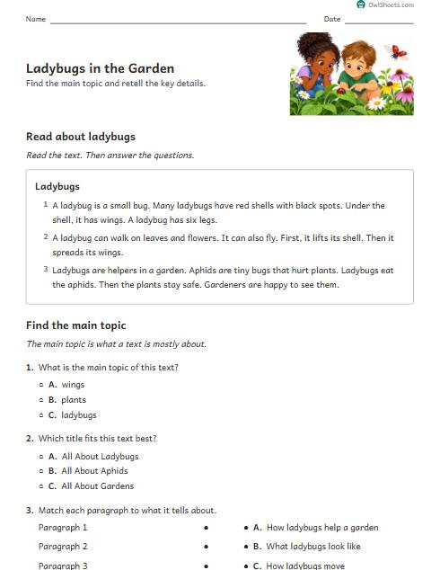 Ladybugs in the Garden worksheet preview