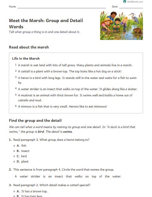 Meet the Marsh: Group and Detail Words worksheet preview