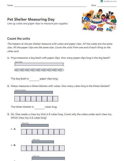 Pet Shelter Measuring Day worksheet preview