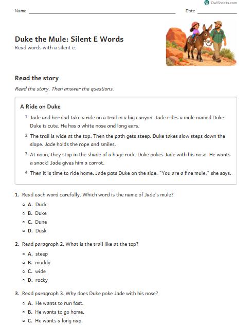 Duke the Mule: Silent E Words worksheet preview