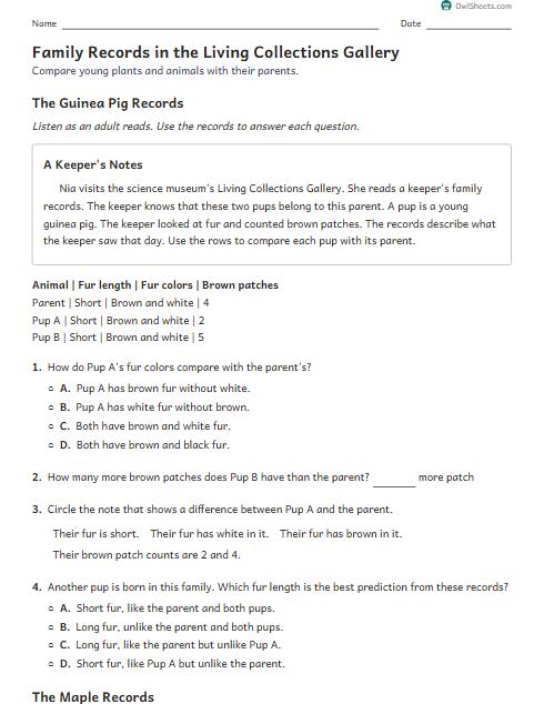 Family Records in the Living Collections Gallery worksheet preview
