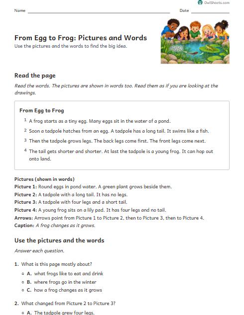 From Egg to Frog: Pictures and Words worksheet preview