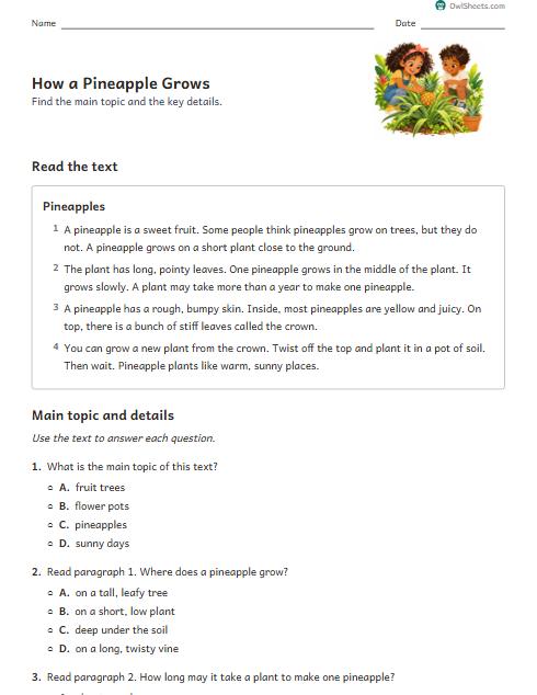 How a Pineapple Grows worksheet preview