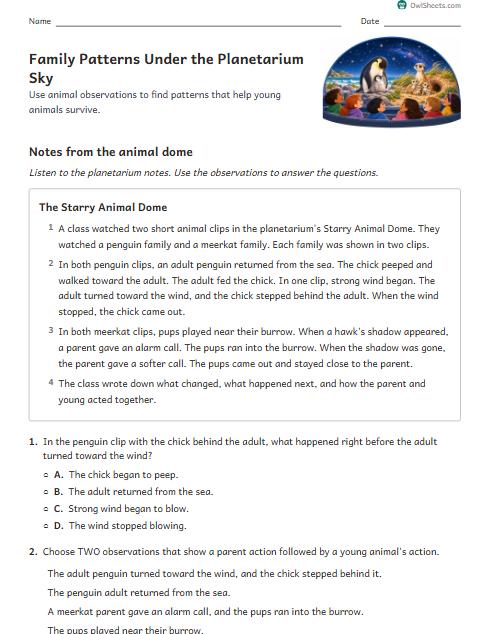 Family Patterns Under the Planetarium Sky worksheet preview