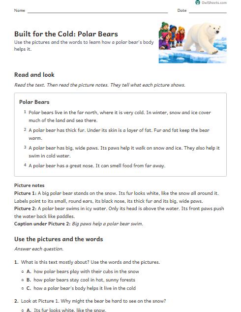 Built for the Cold: Polar Bears worksheet preview