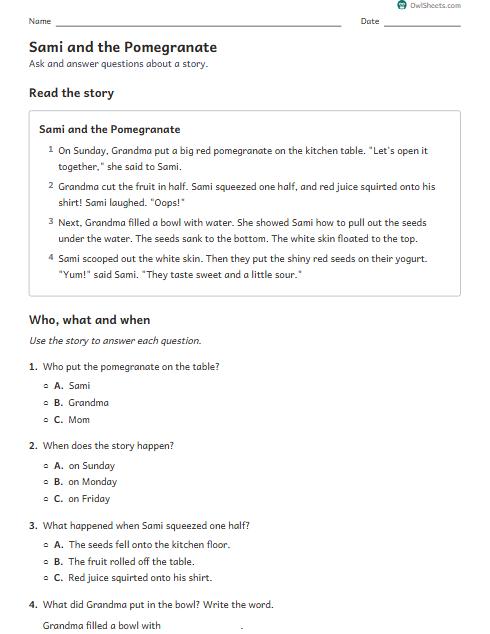 Sami and the Pomegranate worksheet preview