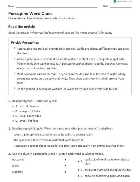 Porcupine Word Clues worksheet preview