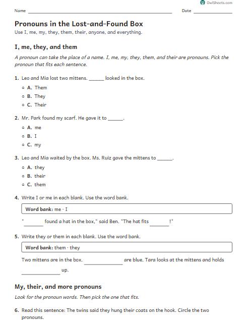 Pronouns in the Lost-and-Found Box worksheet preview