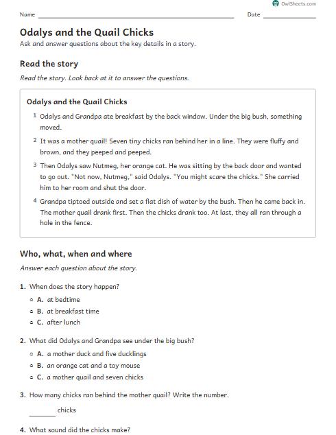 Odalys and the Quail Chicks worksheet preview
