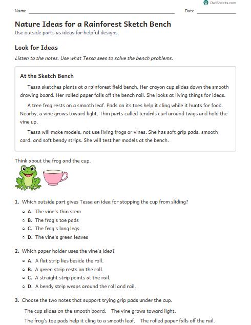 Nature Ideas for a Rainforest Sketch Bench worksheet preview