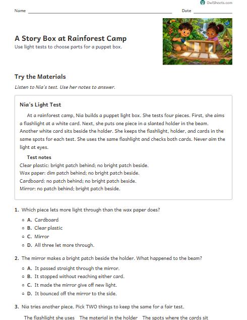 A Story Box at Rainforest Camp worksheet preview