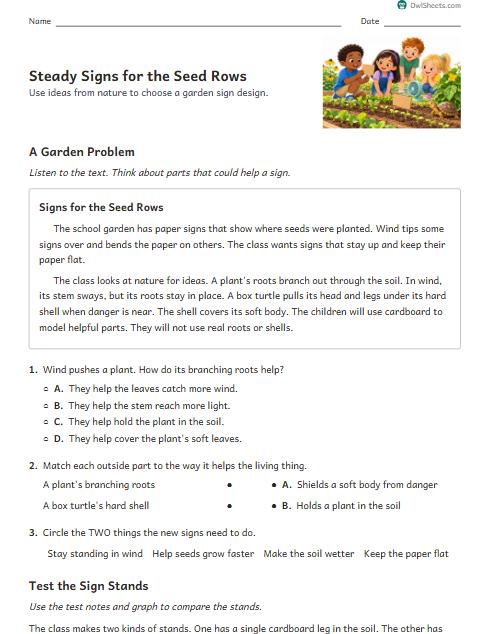 Steady Signs for the Seed Rows worksheet preview
