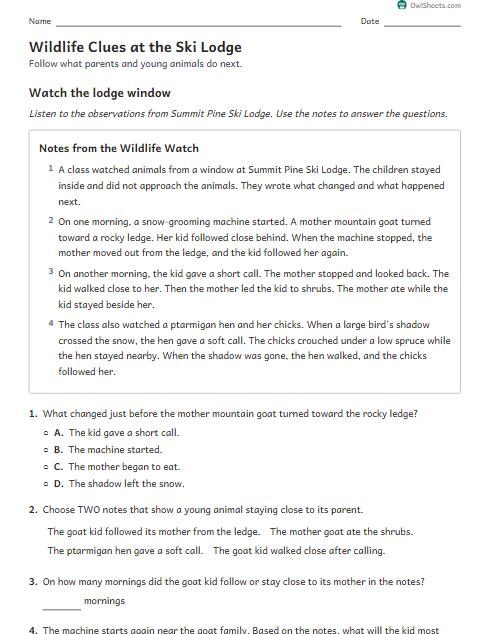 Wildlife Clues at the Ski Lodge worksheet preview
