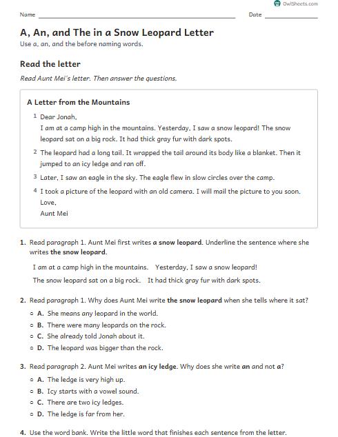 A, An, and The in a Snow Leopard Letter worksheet preview