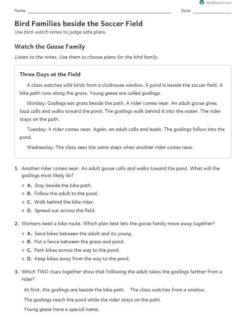 Bird Families beside the Soccer Field worksheet preview
