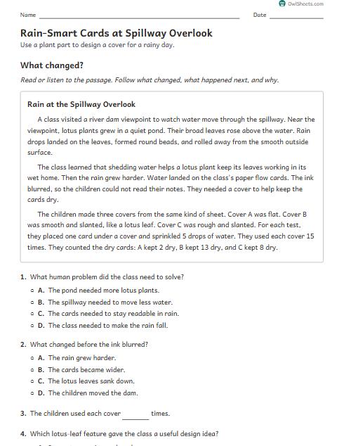 Rain-Smart Cards at Spillway Overlook worksheet preview
