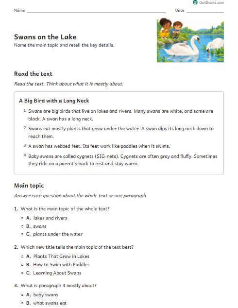 Swans on the Lake worksheet preview