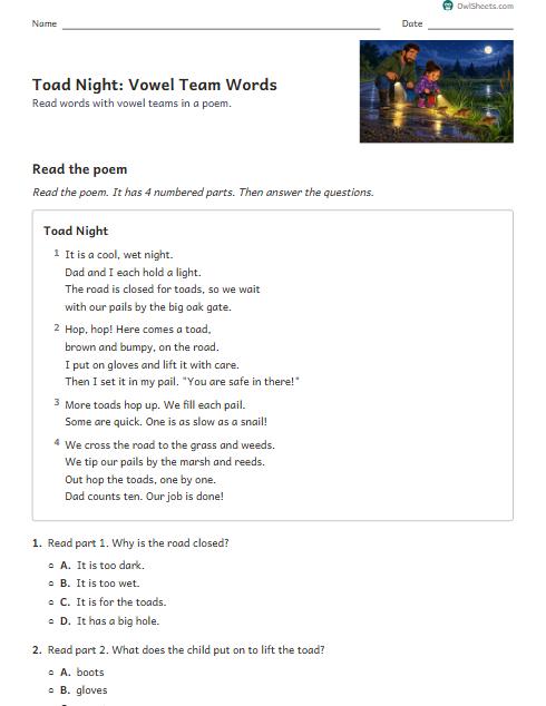 Toad Night: Vowel Team Words worksheet preview