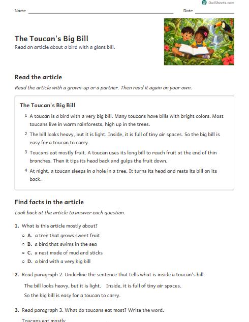 The Toucan's Big Bill worksheet preview