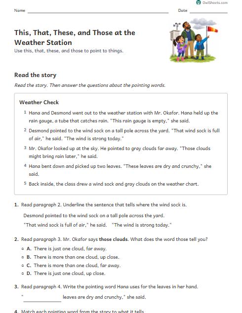 This, That, These, and Those at the Weather Station worksheet preview