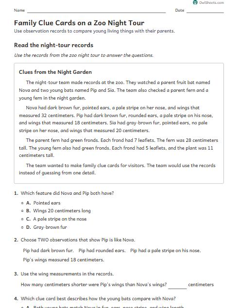 Family Clue Cards on a Zoo Night Tour worksheet preview