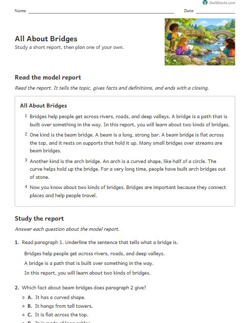 All About Bridges worksheet preview