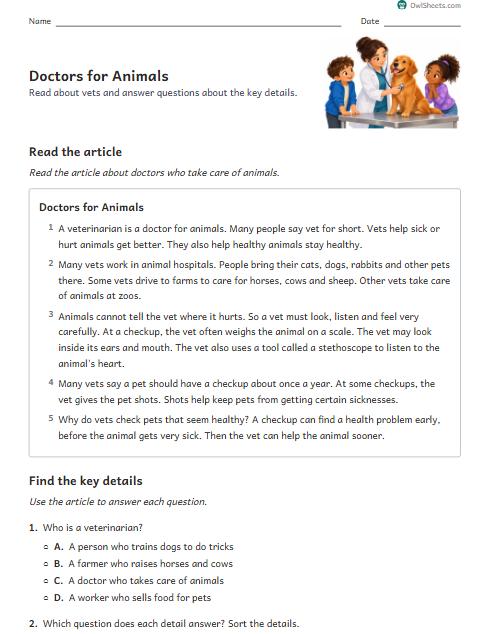 Doctors for Animals worksheet preview
