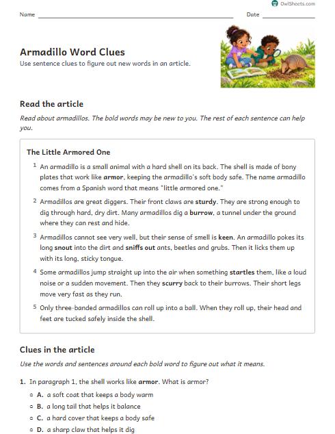 Armadillo Word Clues worksheet preview